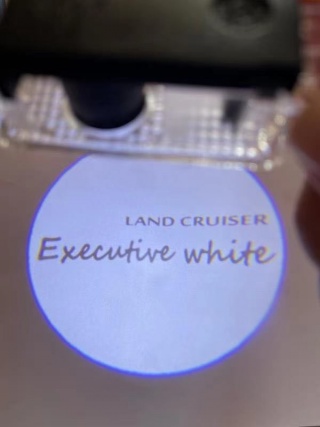 Проекции в двери Land Cruiser 200 Executive White 