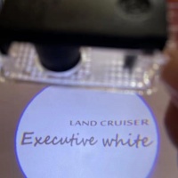 Проекции в двери Land Cruiser 200 Executive White 