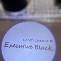 Проекции в двери land cruiser 200 Executive Black